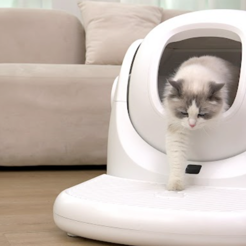Catlink Marche pour litière automatique Baymax CATLINK - Image 3