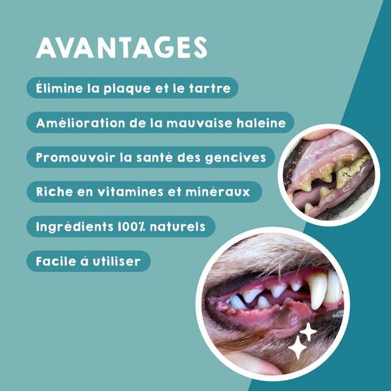 Mauvaise Haleine et soin bucal pour Chien et Chat (150g) - Plaque Remover - MAIKAI - Image 4
