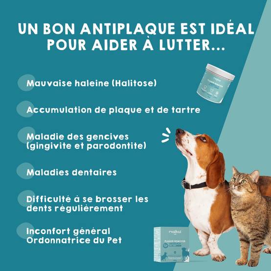 Mauvaise Haleine et soin bucal pour Chien et Chat (150g) - Plaque Remover - MAIKAI - Image 2