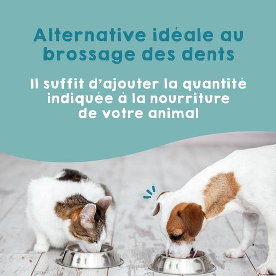Mauvaise Haleine et soin bucal pour Chien et Chat (150g) - Plaque Remover - MAIKAI - Image 5