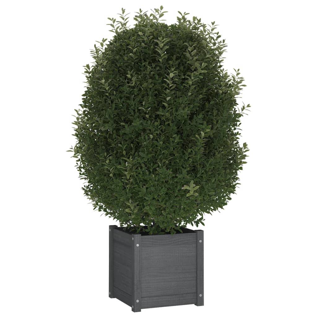 Vidaxl - Jardinières d'extérieur 2 pcs Gris 40x40x40 cm Bois de pin vidaXL 810539 - Image 4