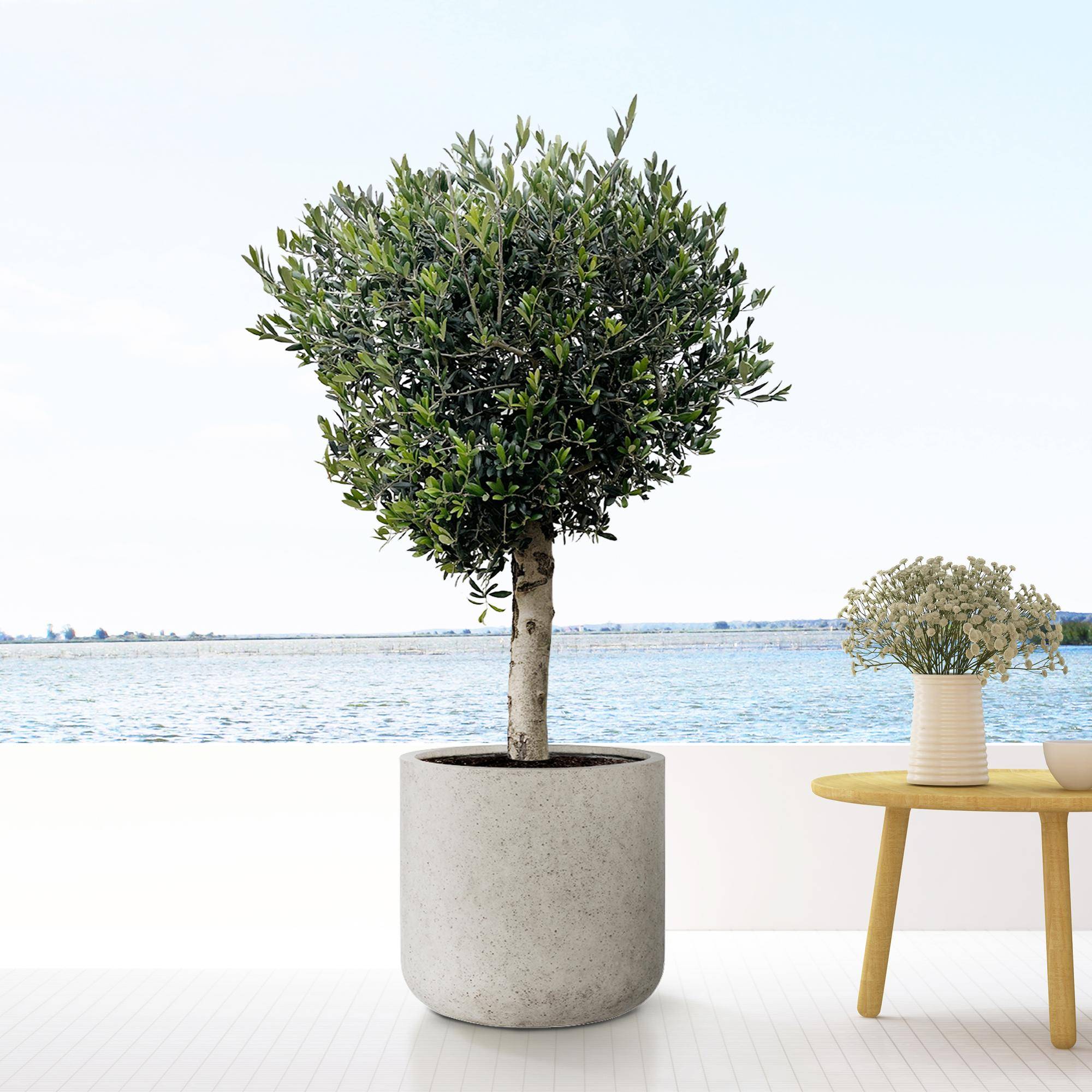 PANGIVO - Pot de fleurs fiberstone beige 53 x 53 x 52 cm - PANGIVO - Image 2