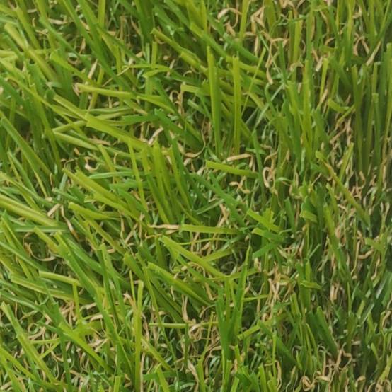 Gazon Synthétique CLAUDE 30 Mm - Rouleau 2x5m (10 M²), Ultra Naturel, Doux & Confortable, Sans Sable !