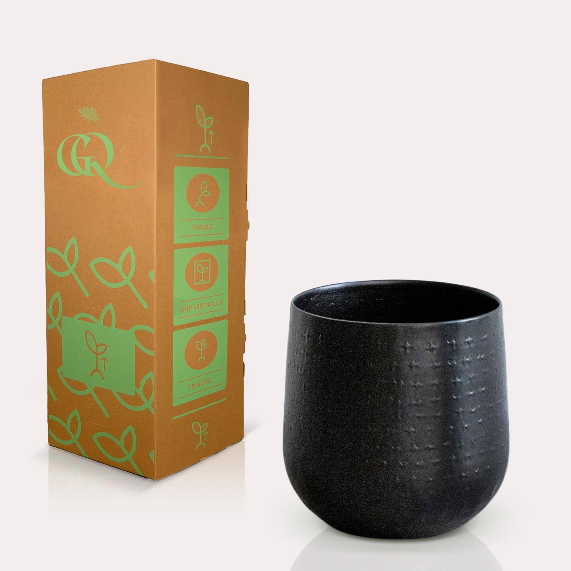 Cache-pot noir - h16cm, Ø16cm- La Green Touch - Image 3