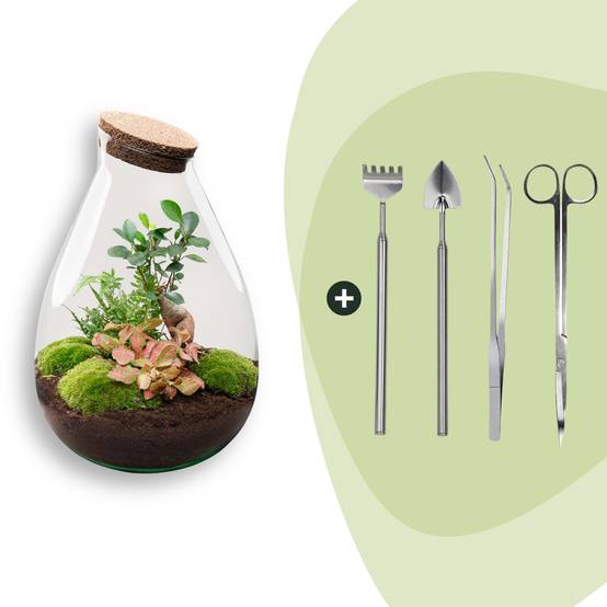 Terrarium à composer goutte en verre recyclé - Ø29-H37cm - avec kit 4 outils - Terrarium DIY - Image 1