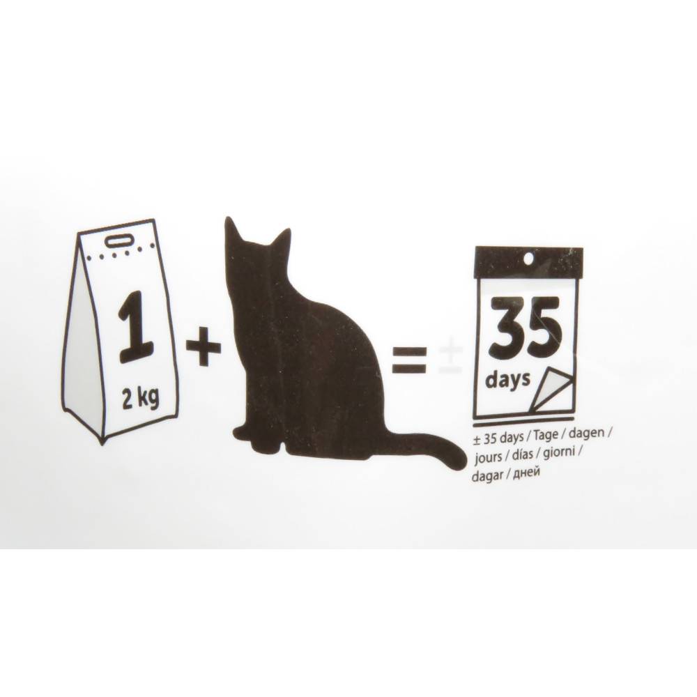 Litière silica granules large 5 litres litière pour chat - Image 3