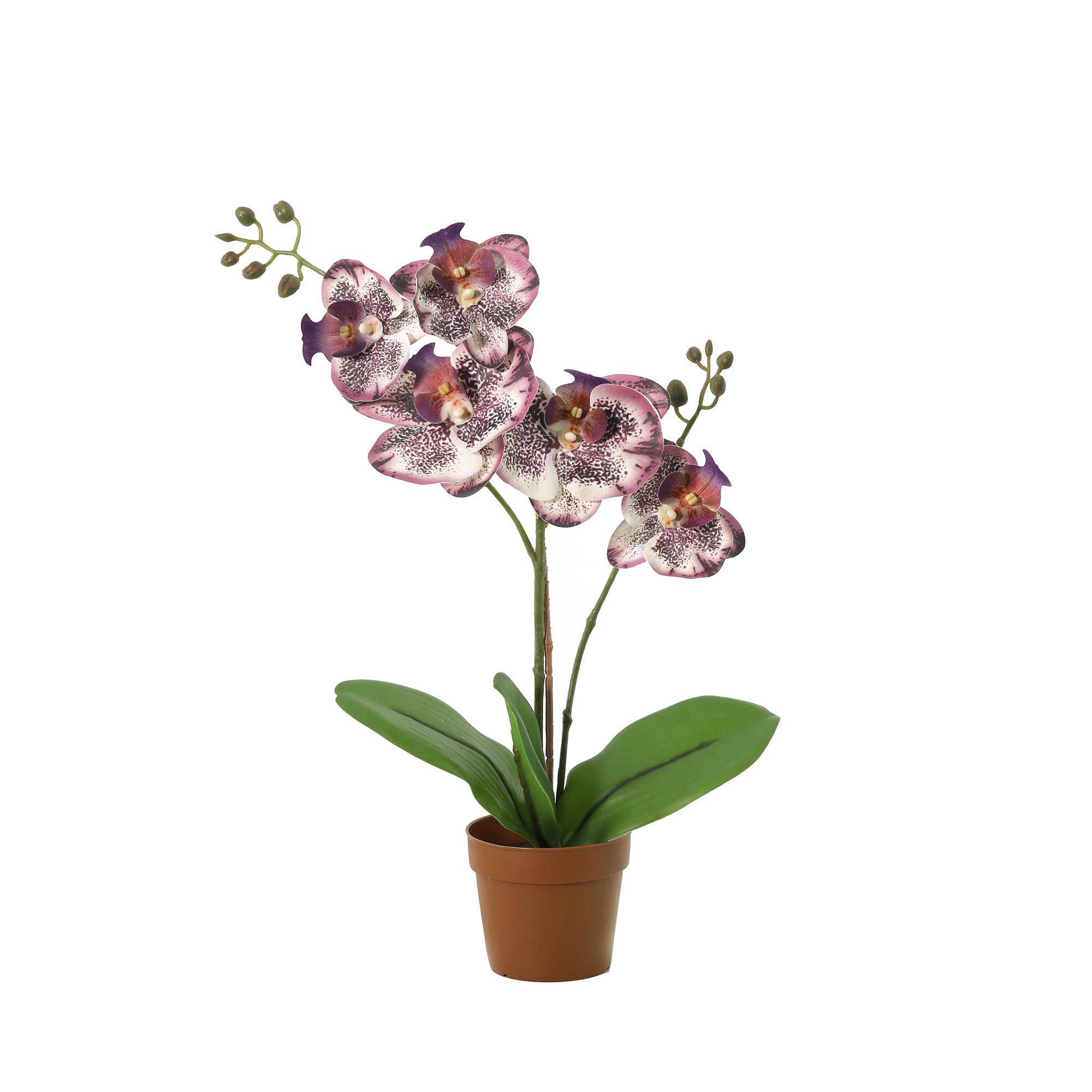 PANGIVO - Orchidée phalaenopsis artificielle plastique violet 20 x 20 x 41 cm - PANGIVO