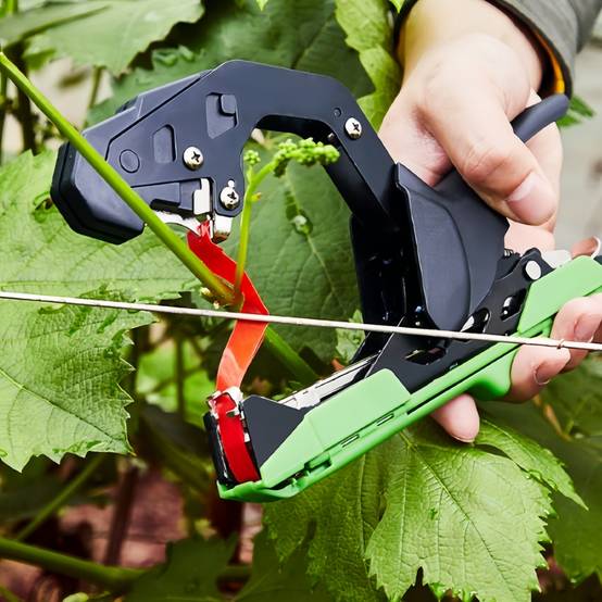 Machine à Lier les Plantes IntiMeg - Image 6