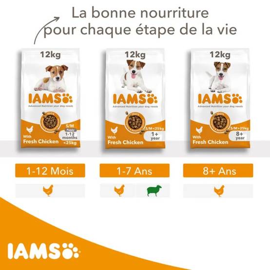 Iams Chien Adulte S/M Agneau 3 kg - Image 6