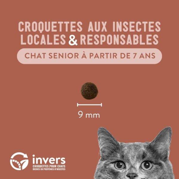 Croquettes aux insectes pour chat sénior 2,5kg - Invers - Image 3