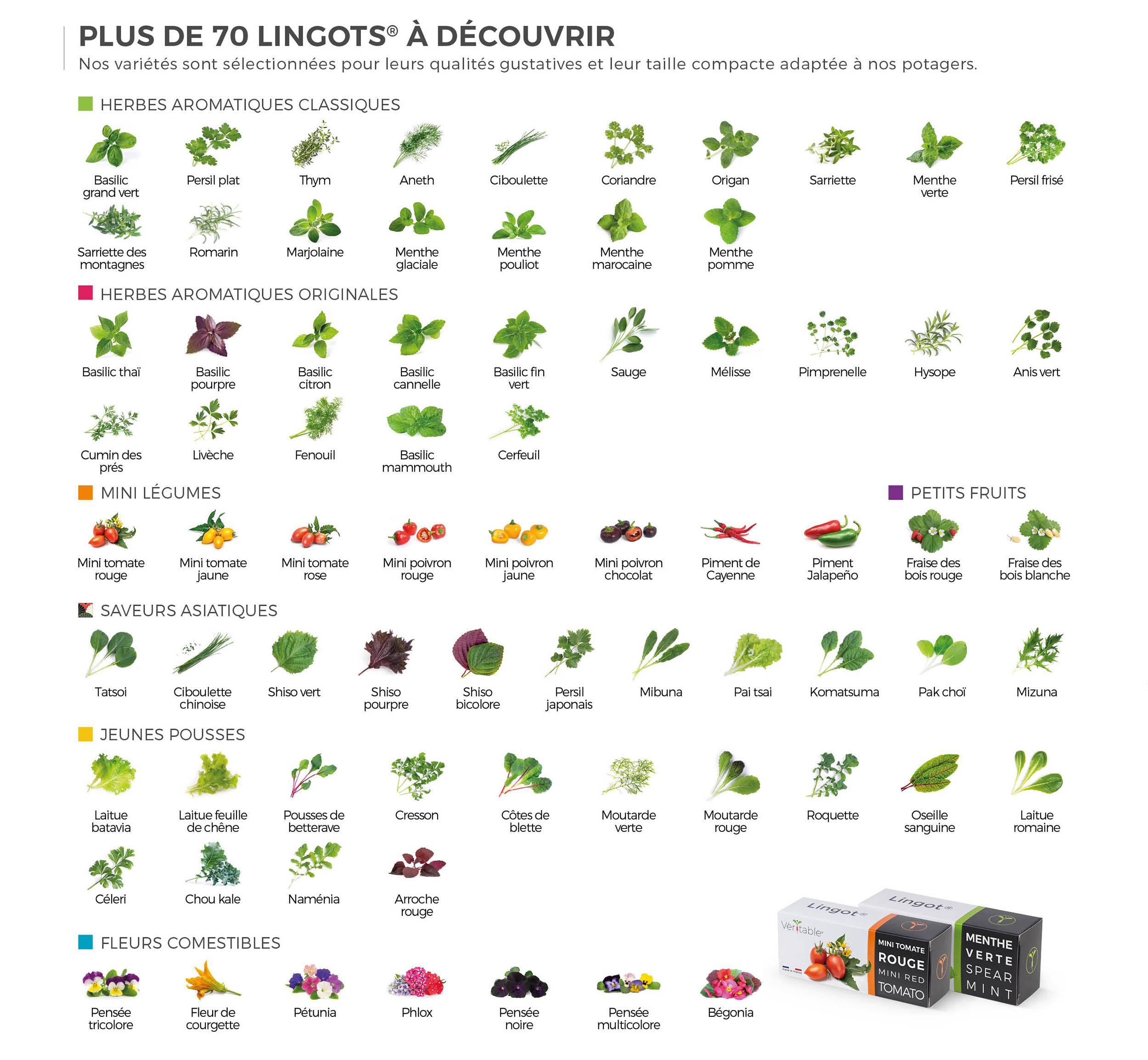 Veritable - Lingot Origan BIO - Recharge prête à l'emploi - Véritable - Image 5