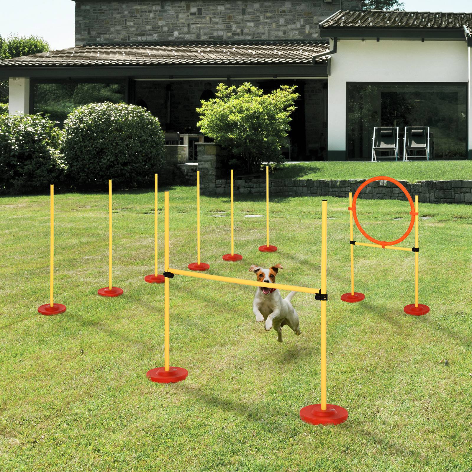ComfortXL - Kit agilité chien 3 en 1 structure tubulaire avec haies slalom et anneau réglables - ComfortXL Outdoor Living - Image 4