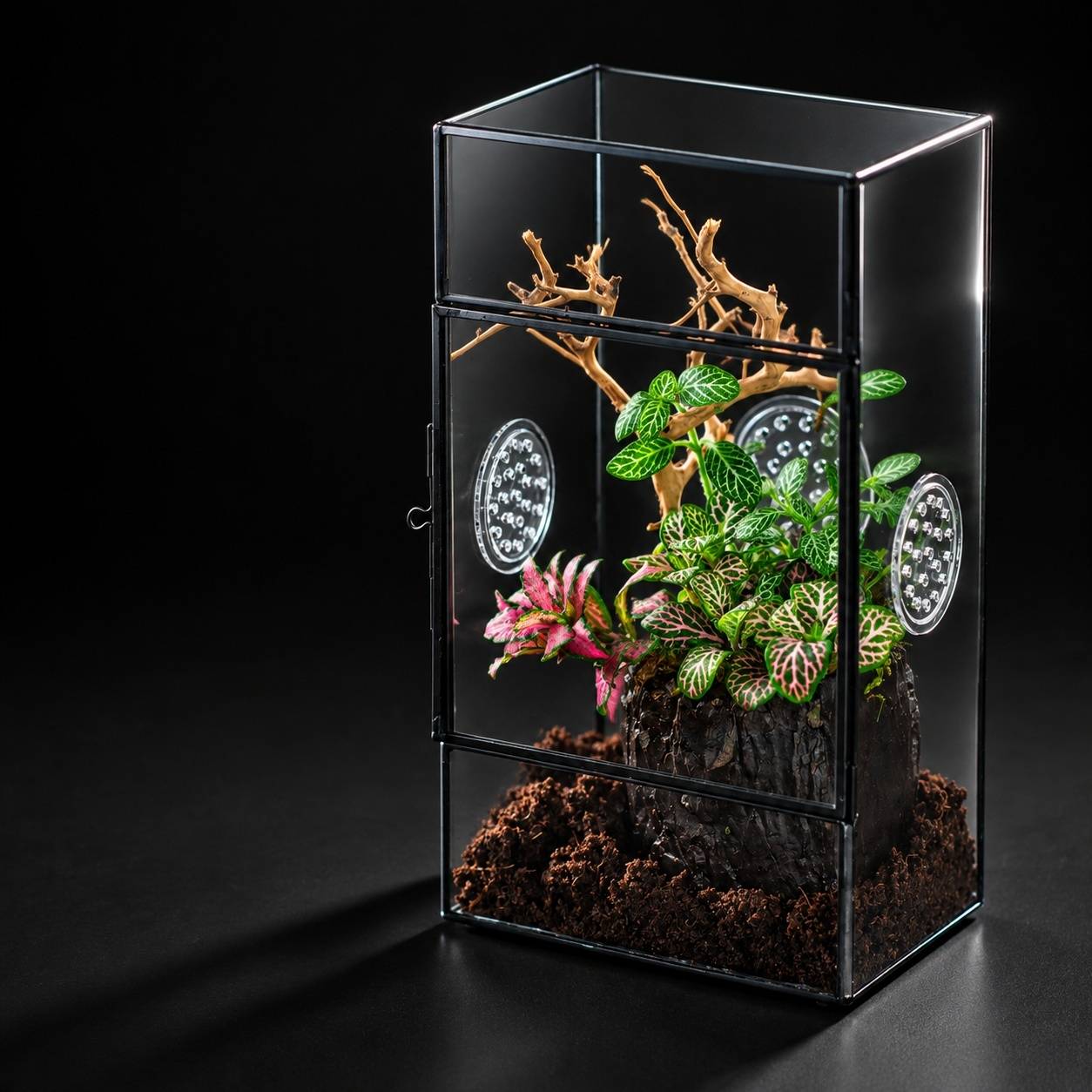 Terrarium Rectangulaire Vertical Porte Latérale et Trois Évents pour Grandes Araignées - Image 8