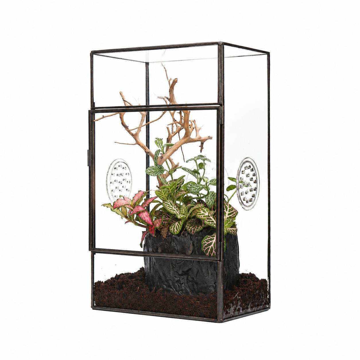 Terrarium Rectangulaire Vertical Porte Latérale et Trois Évents pour Grandes Araignées - Image 1