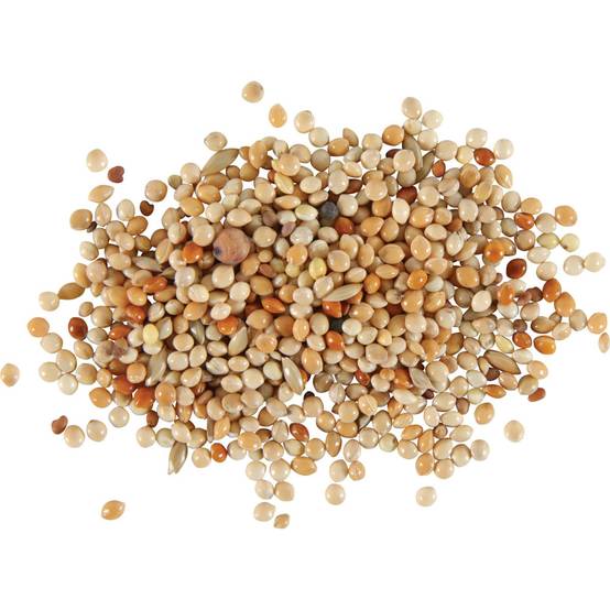 Zolux - Graines Alimentation oiseaux exotique nutrimeal, 800g. - Image 2