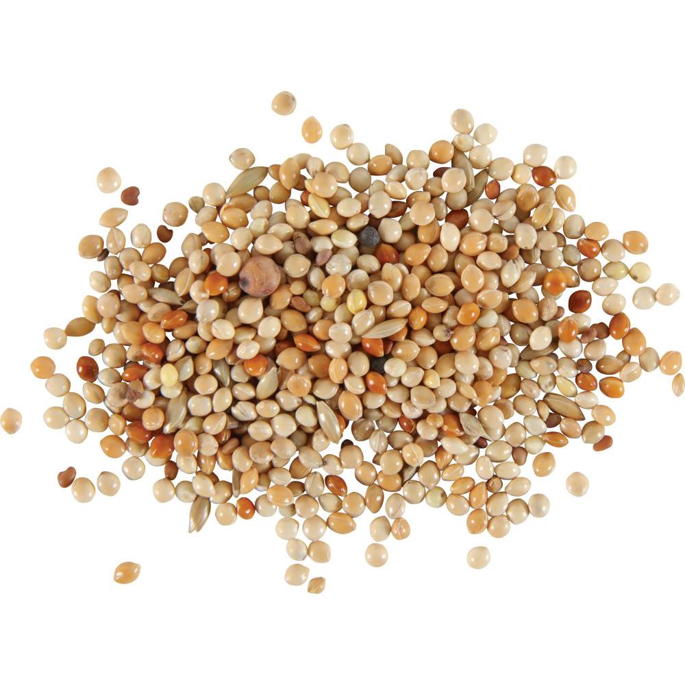 Zolux - Graines Alimentation oiseaux exotique nutrimeal, 800g. - Image 2