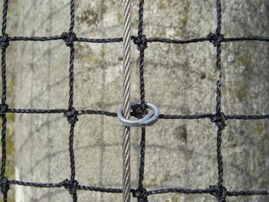 Filet anti-moineaux - Maille de 19mm Pierre 5m x 5m - Image 2