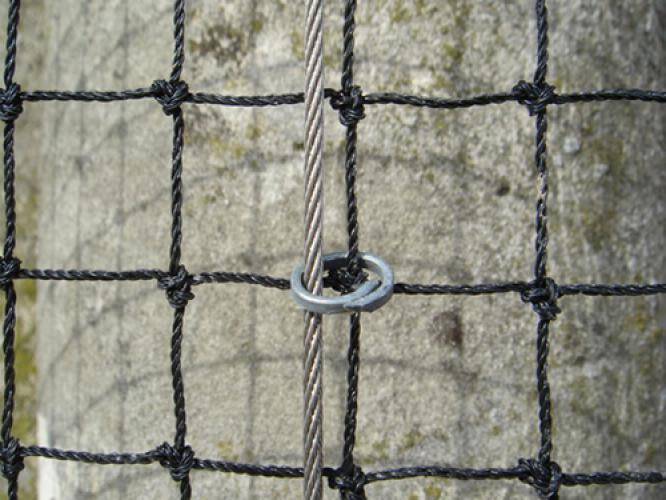 Filet anti-moineaux - Maille de 19mm Pierre 5m x 5m - Image 2