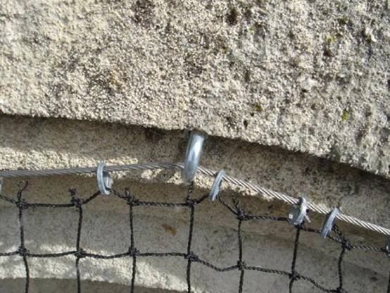 Filet anti-moineaux - Maille de 19mm Pierre 5m x 5m - Image 3