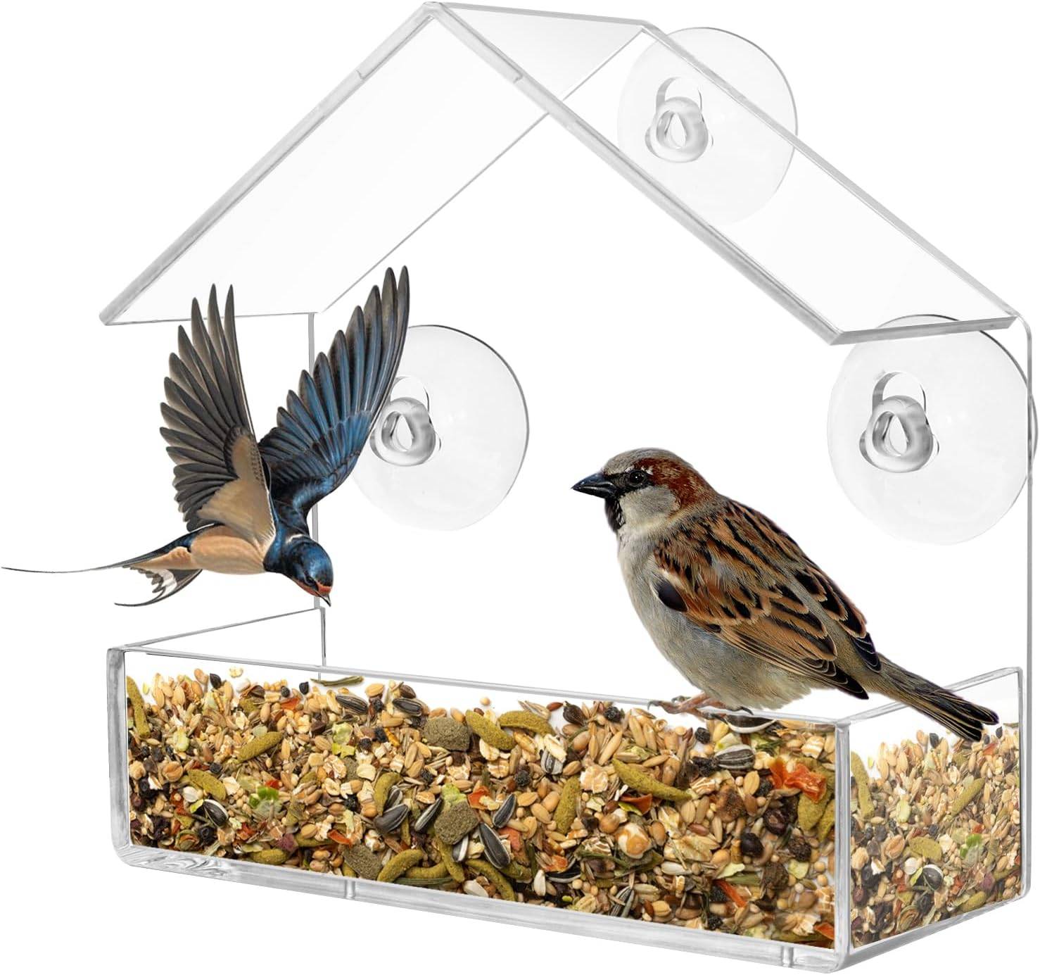 IntiMeg - Mangeoire à Oiseaux pour extérieur avec ventouse puissante 15 x 15 x 6 cm - IntiMeg - Image 1