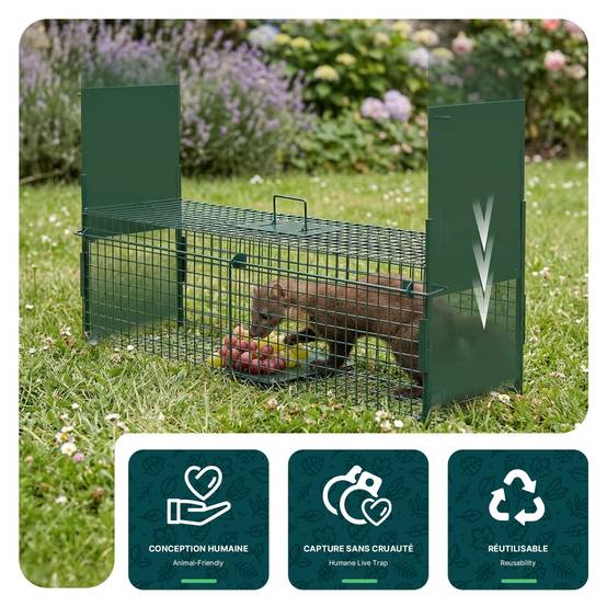 Piege pour animaux vivants cage trappe en metal 100x29x40cm vert - Image 4