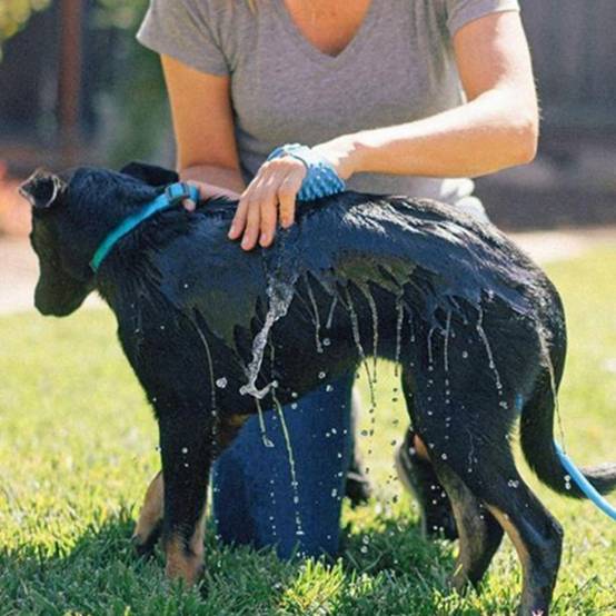 Pulvérisateur de douche pour chien 2en1 - MCBOSON - Image 2