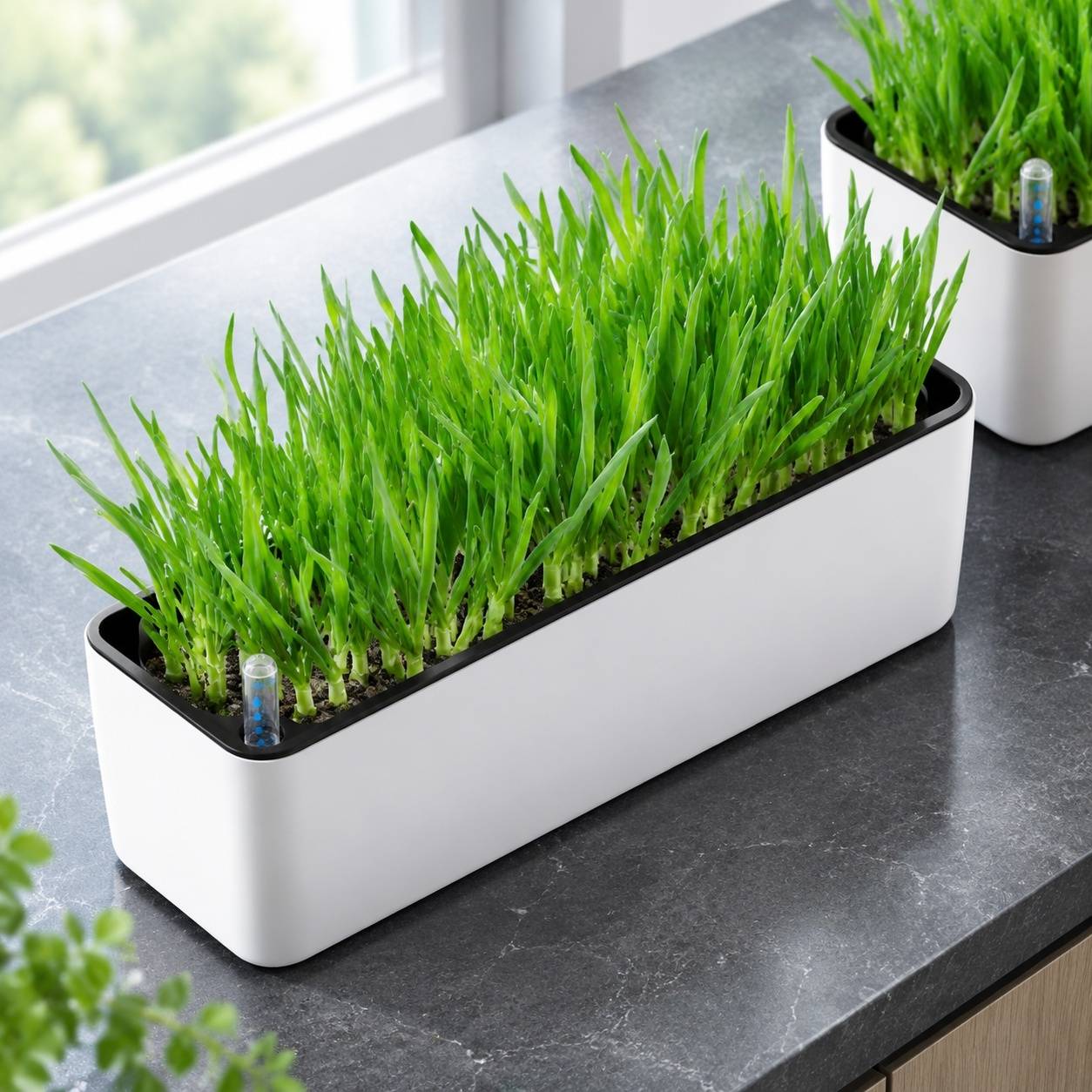 Pot Auto-Arosant Rectangulaire avec Indicateur de Niveau dEau pour Plantes dIntérieur - Image 6