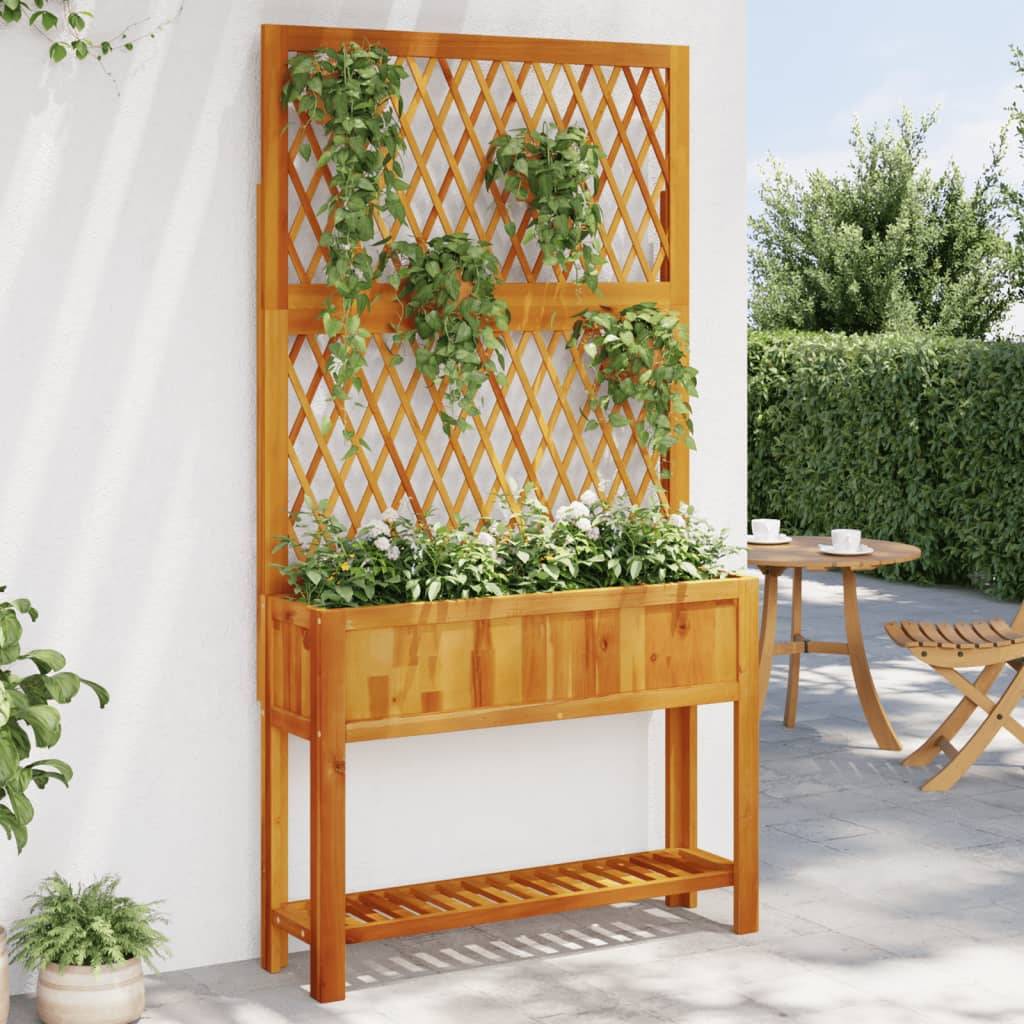 Vidaxl - Jardinière avec treillis et étagère bois massif d'acacia vidaXL 364899 - Image 1