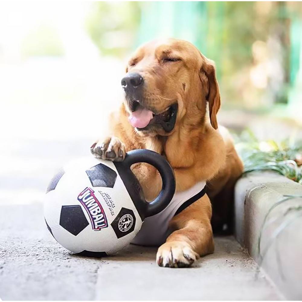 Dare Win Store - Jouet pour chien en caoutchouc - Image 2