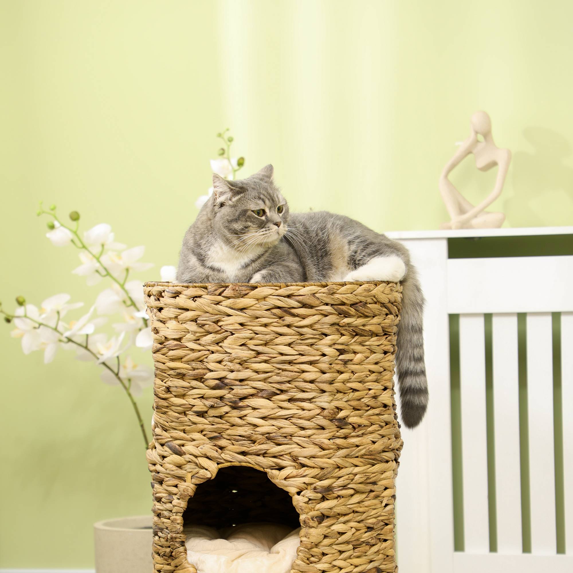 ComfortXL - Tour à griffer pour chat en jacinthe d'eau et acier marron clair Ø 40 x 73 cm avec 3 niches et coussins - Image 5
