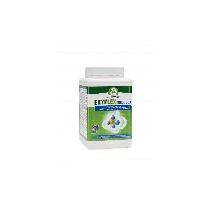 EKYFLEX NODOLOX - AUDEVARD 1,2 kg - Image 2