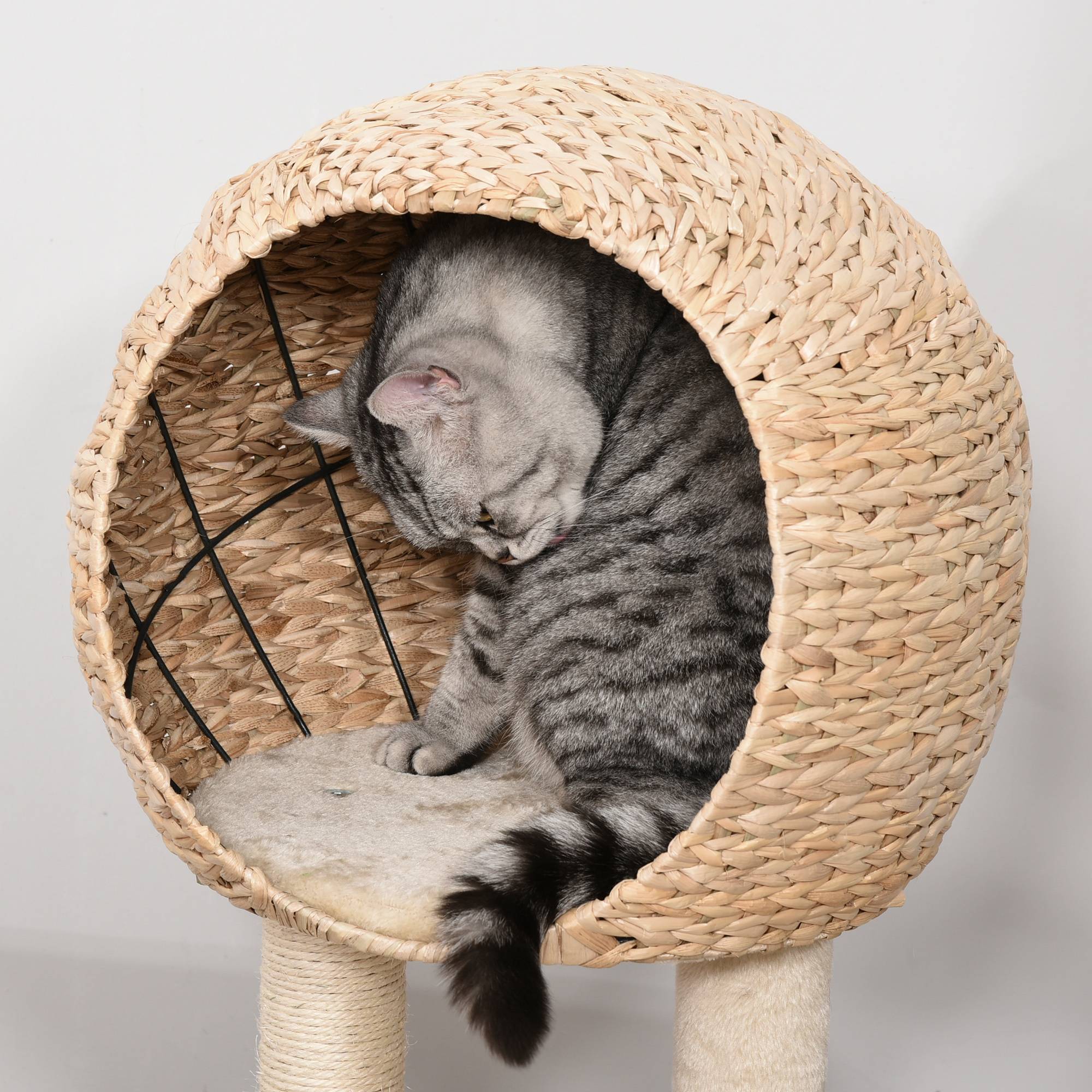 Pawhut - Arbre à chats style cosy chic griffoir sisal naturel grande niche plateformes jeu boule corde escalade peluche courte massette beige - Image 7