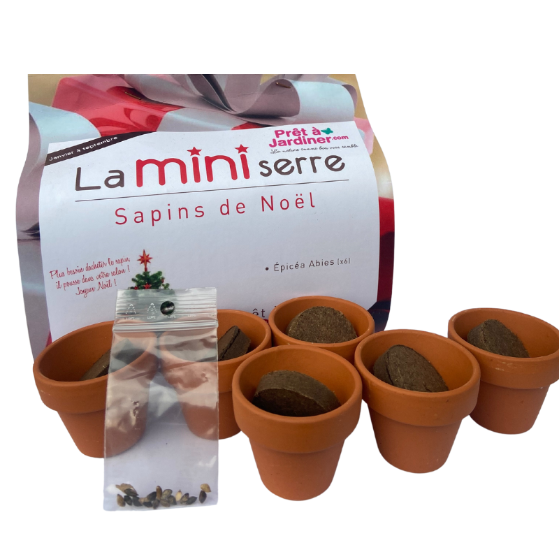 Autre - Mini serre 6 pots sapins de Noël - Prêt à Jardiner - Image 2