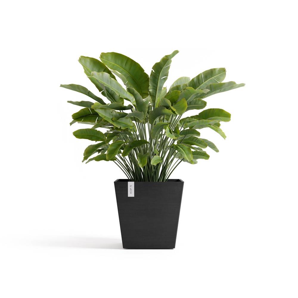 Ecopots - Pot Carré Rotterdam 45 Gris Foncé + réservoir d'eau - 45,4 x 45,4 x H. 44 cm - 63,5 L ECOPOTS - Image 1