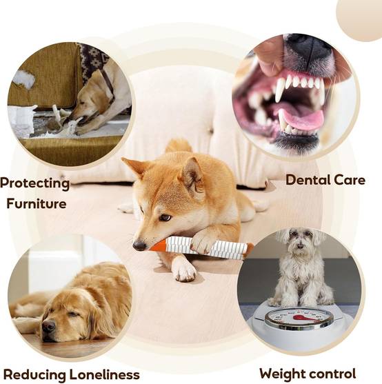 Cigarette Grinçante pour Chien - Jouet Amusant et Résistant-Living123 - Image 2