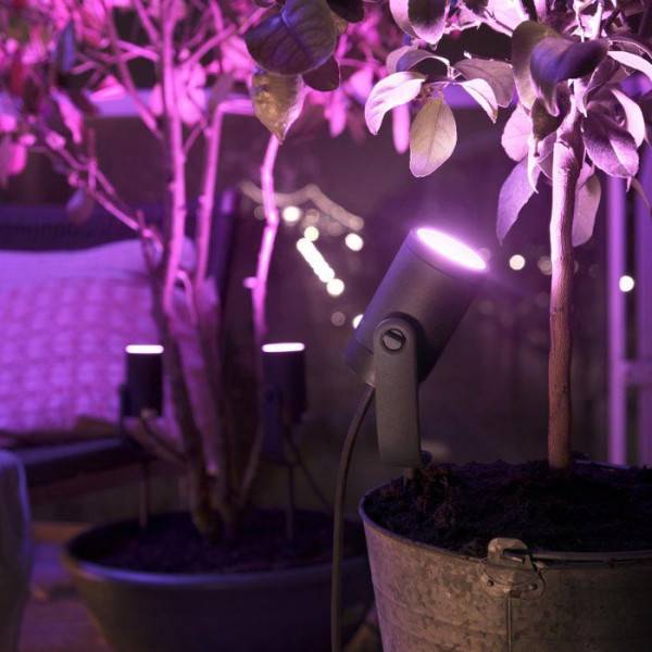 Philips - Lot de 3 spots de jardin - PHILIPS HUE - Lily - Noir - IP67 - Image 4