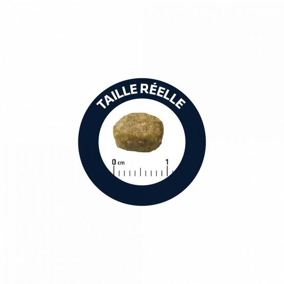 CROQUETTES CHAT ADULT STERILIZED HAIRBALL - ADVANCE 10 kg - Image 2