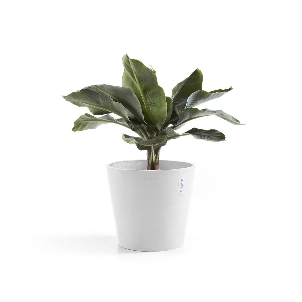 Ecopots - Pot Rond Amsterdam 40 Blanc Pur - Ø 40 x H. 35 cm - 28 L ECOPOTS - Image 3