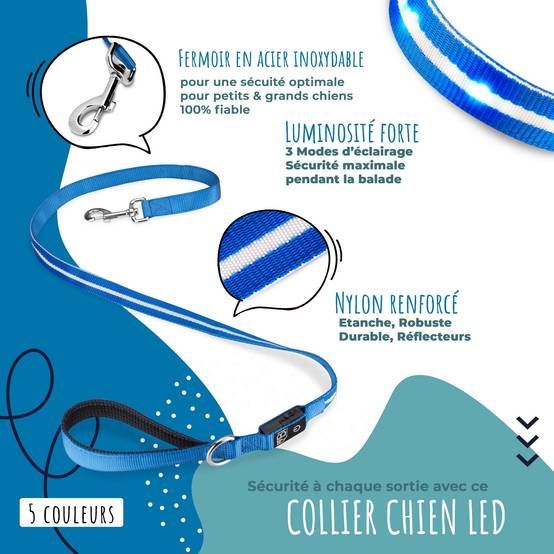 Bi International - Collier et Laisse Lumineux pour Chien - Rechargeable par USB - Haute Qualité, Stabilité & Sécurité (vert, XS) - BI International - Image 2