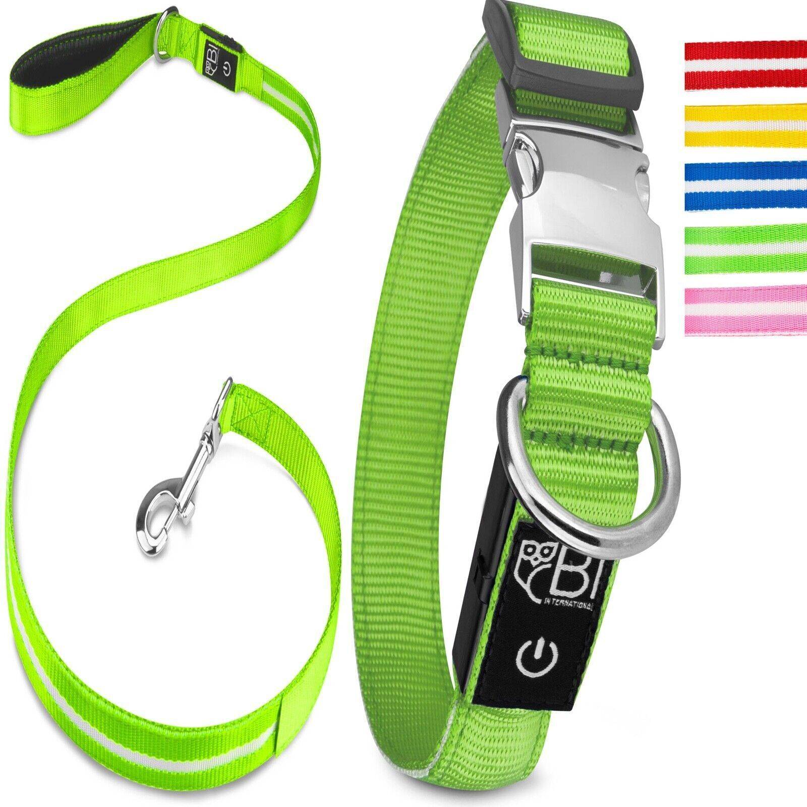 Bi International - Collier et Laisse Lumineux pour Chien - Rechargeable par USB - Haute Qualité, Stabilité & Sécurité (vert, XS) -  BI International - Image 1