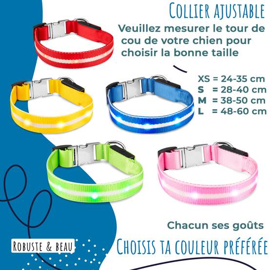 Bi International - Collier et Laisse Lumineux pour Chien - Rechargeable par USB - Haute Qualité, Stabilité & Sécurité (vert, XS) - BI International - Image 4