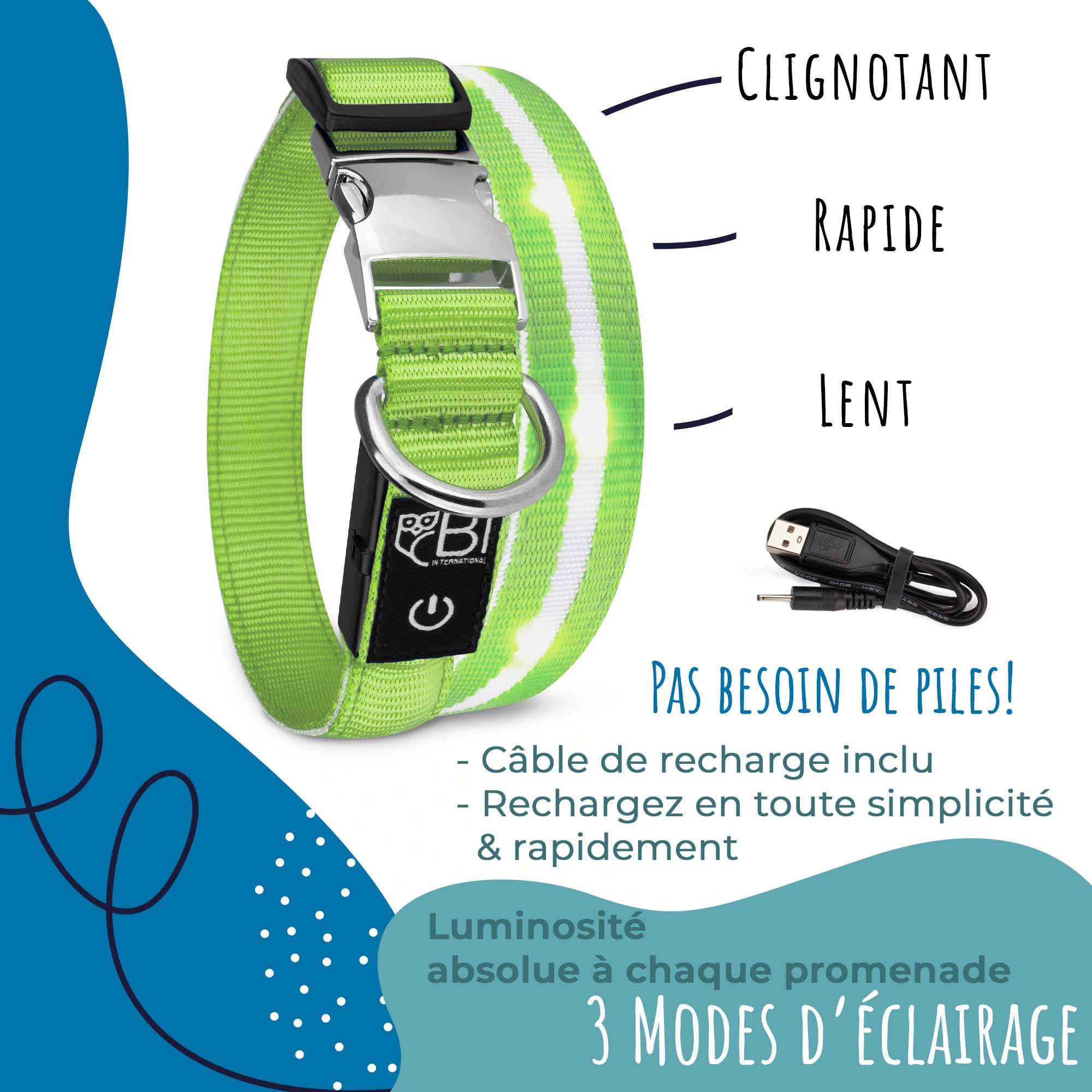 Bi International - Collier et Laisse Lumineux pour Chien - Rechargeable par USB - Haute Qualité, Stabilité & Sécurité (vert, XS) -  BI International - Image 6