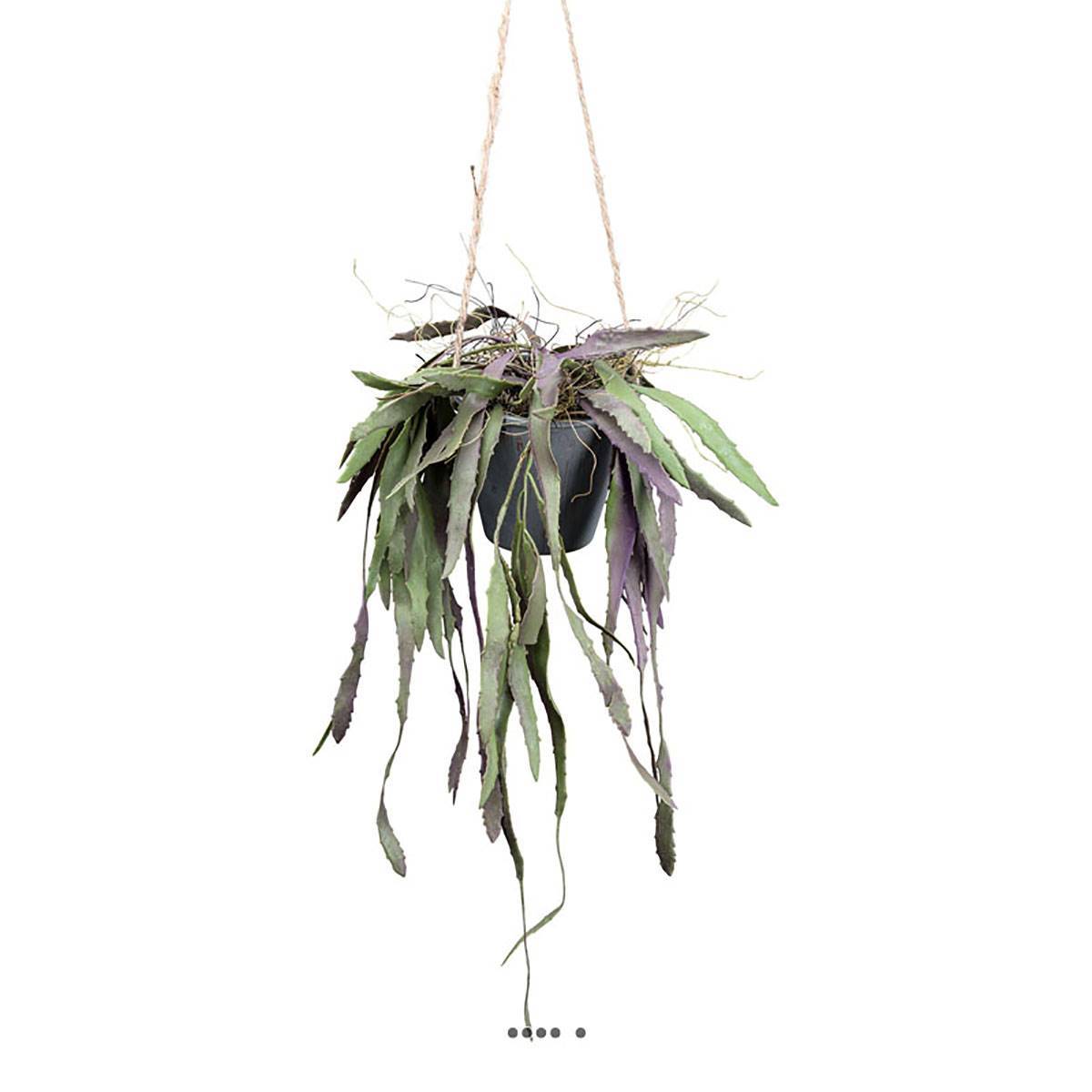 Artificielles - Rhipsalis fausse plante tombante en pot L 40 cm vert-rose - Image 2