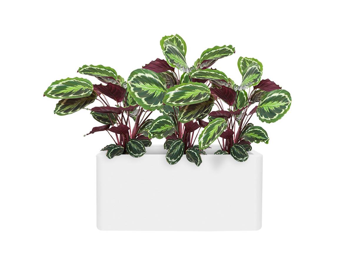 Pot de fleurs Pure Soft Brick Long 80 x 39 x H.39 cm - Blanc - Image 2