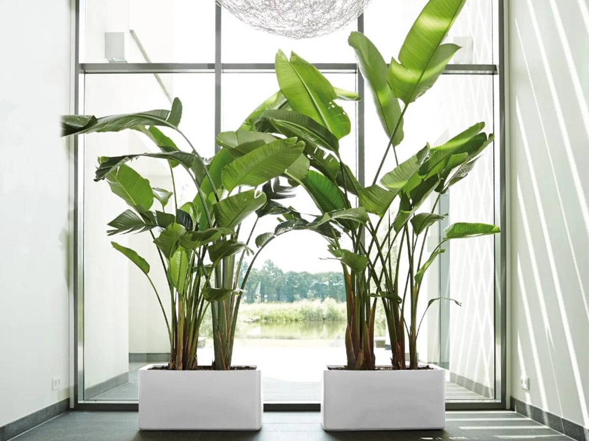 Pot de fleurs Pure Soft Brick Long 80 x 39 x H.39 cm - Blanc - Image 3
