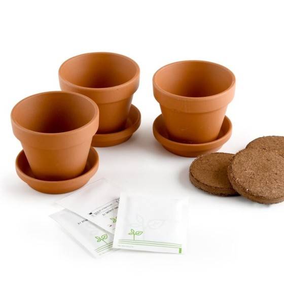 Radis et Capucine - Radis et Capucine - Kit jardinage fleurs grimpants - Trio - Image 3