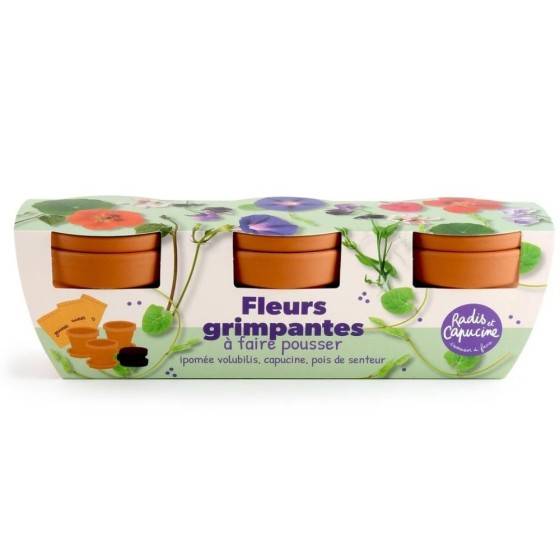 Radis et Capucine - Radis et Capucine - Kit jardinage fleurs grimpants - Trio - Image 4