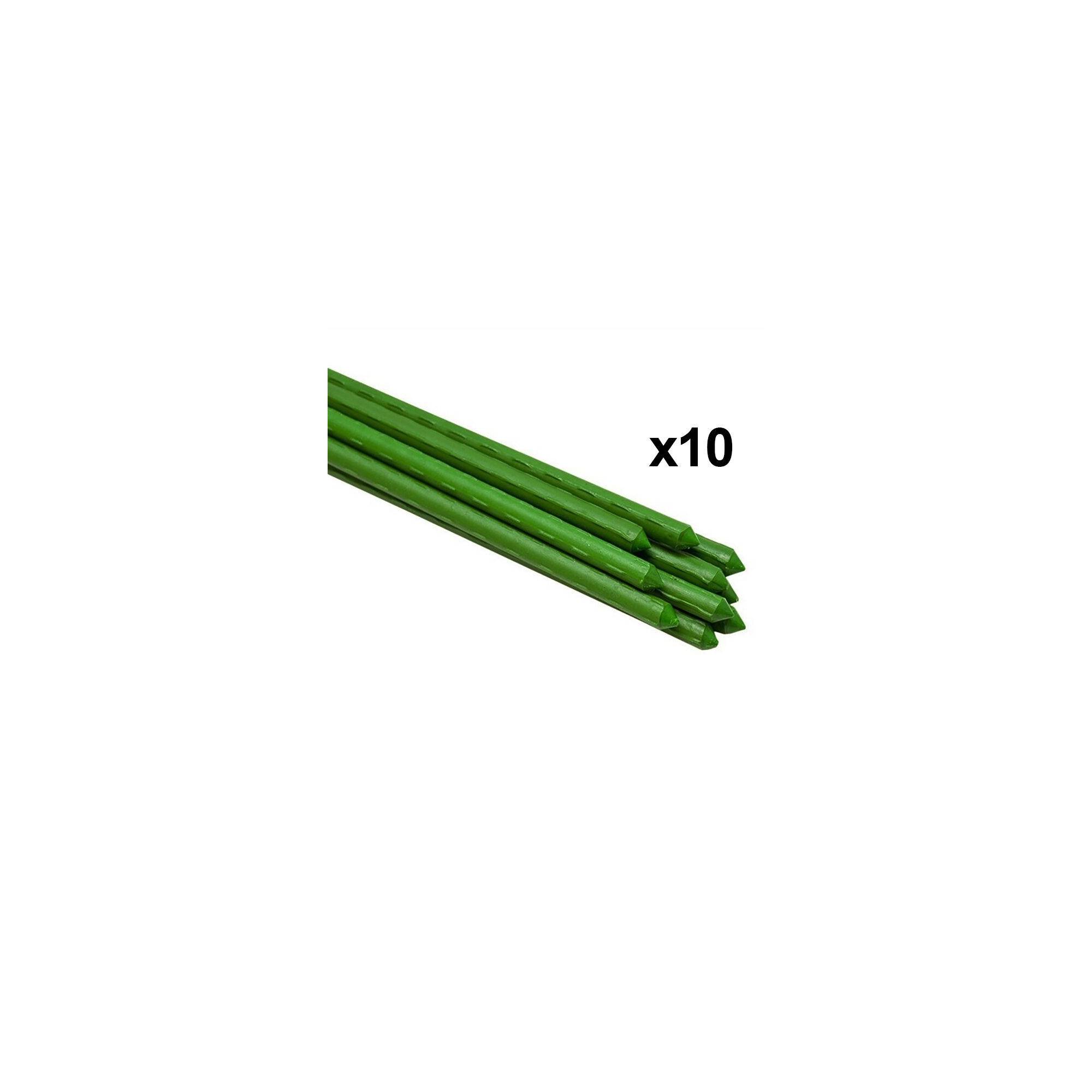 Sans Marque - Lot de 10 tuteurs pour plantes et légumes - En fer - Hauteur : 150 cm - Image 4