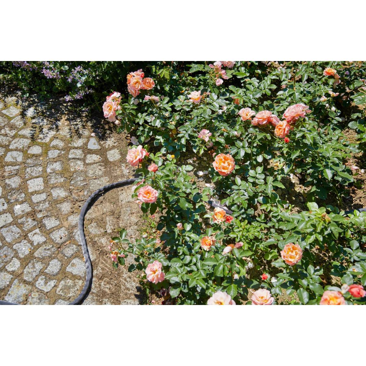 Gardena - Kit tuyau d'arrosage textile Liano™ 15 m avec support mural - Image 8