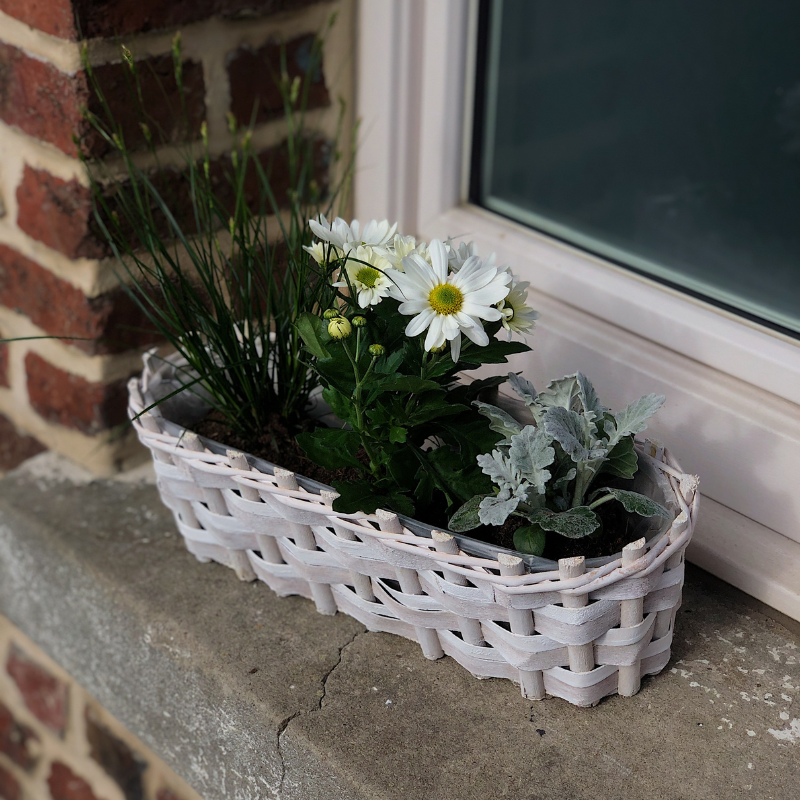 Aubry Gaspard - Jardinière en bois tressé 38 cm - Aubry Gaspard - Image 2